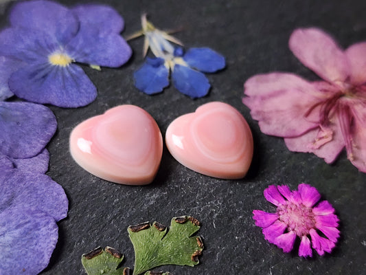 Pink Conch shell heart pair