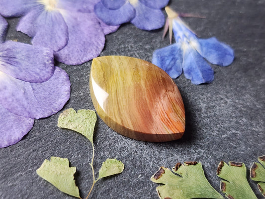 Gary Green jasper / Larsonite