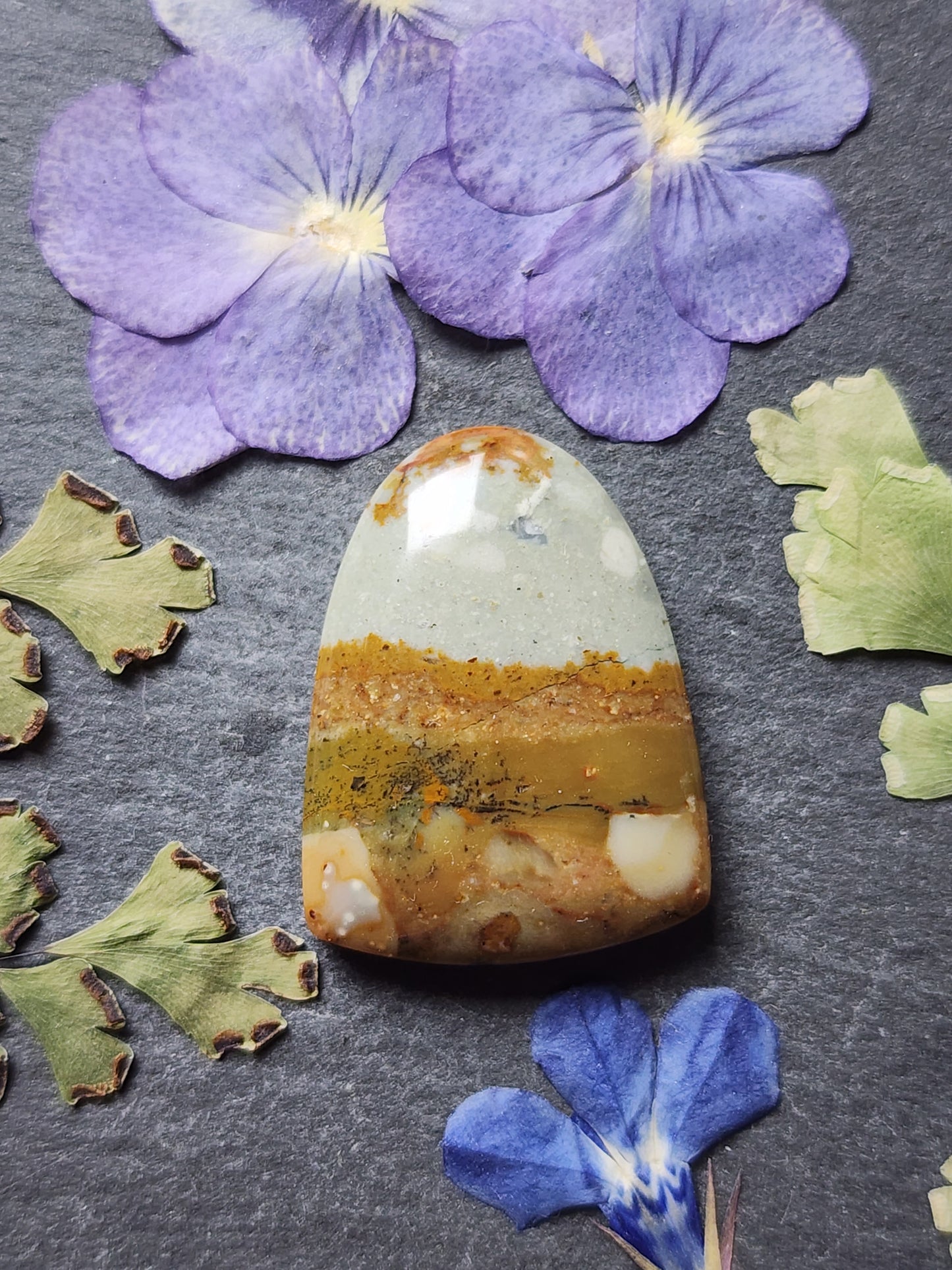 Owyhee picture jasper