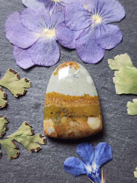 Owyhee picture jasper