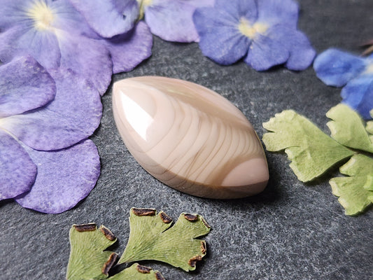 Royal Imperial jasper