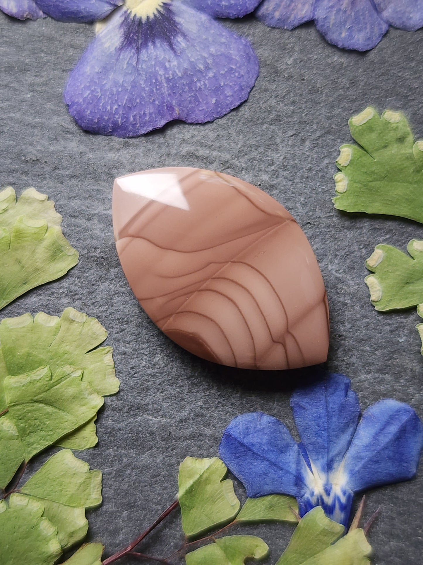 Willow Creek jasper