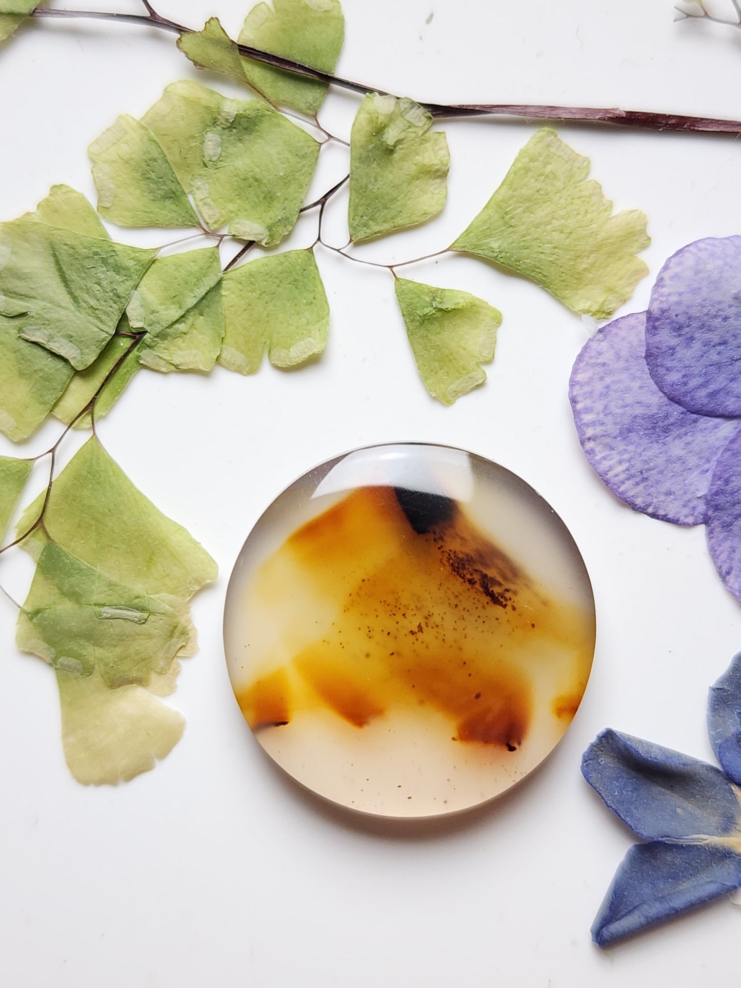 Montana agate