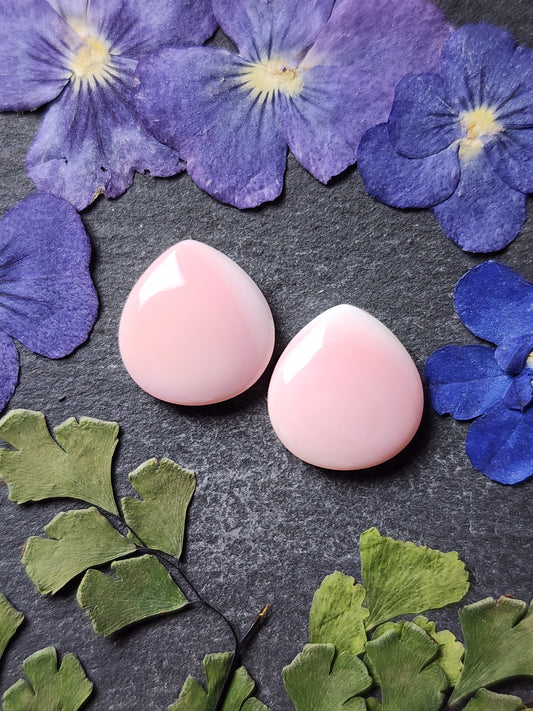 Pink Conch shell pair