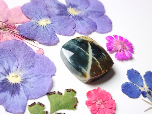 Morrisonite jasper