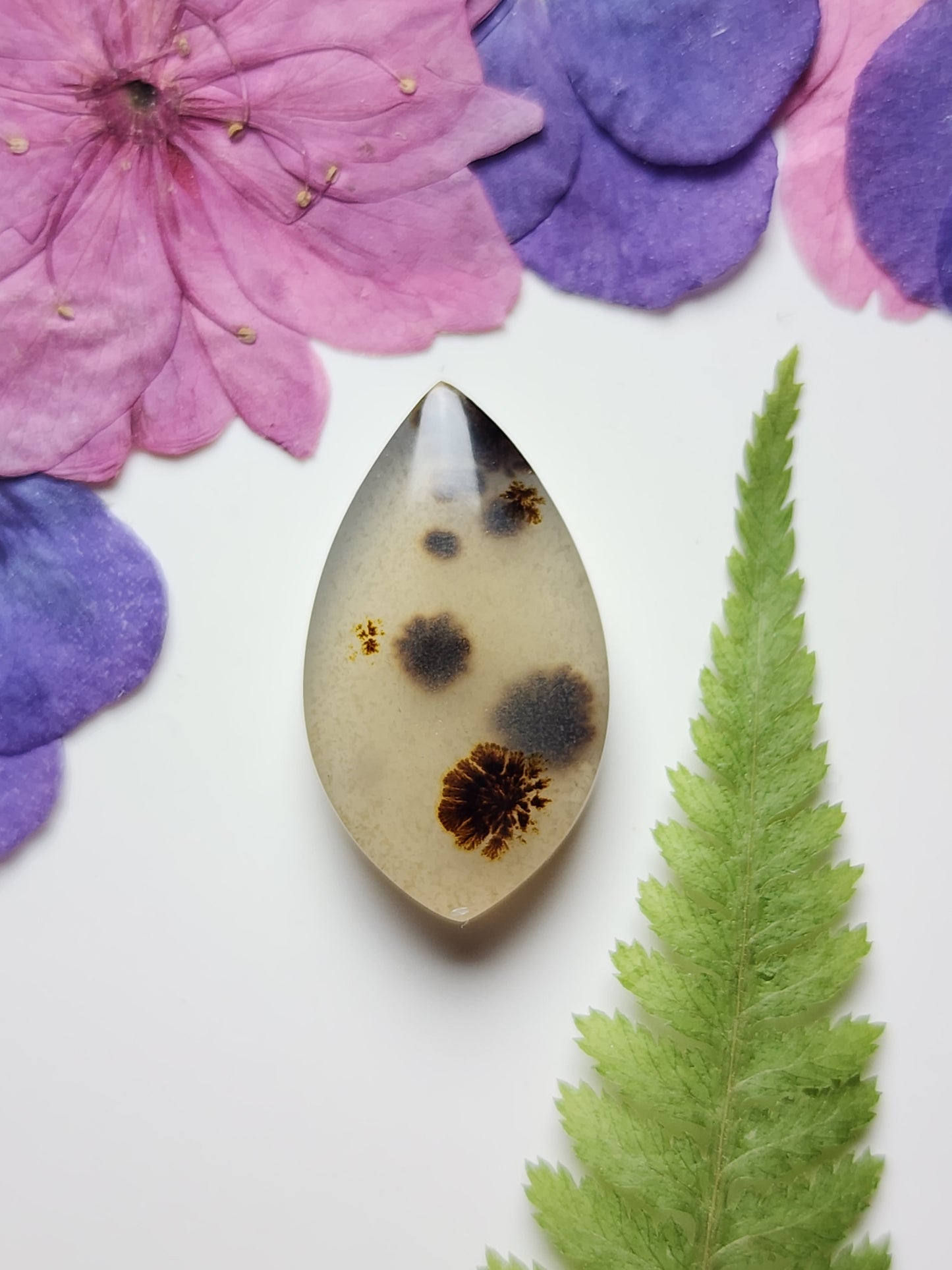Montana agate