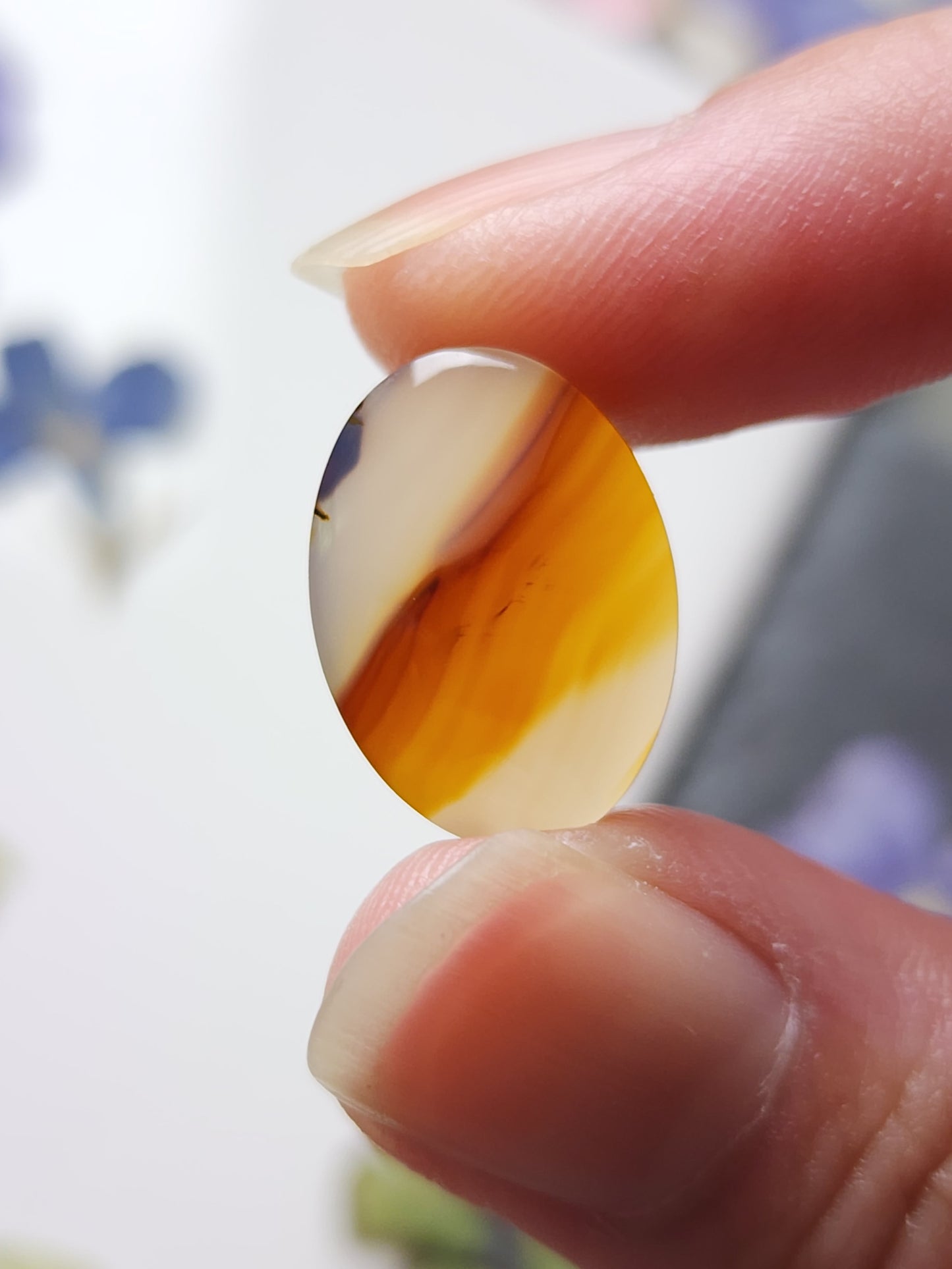 Montana agate