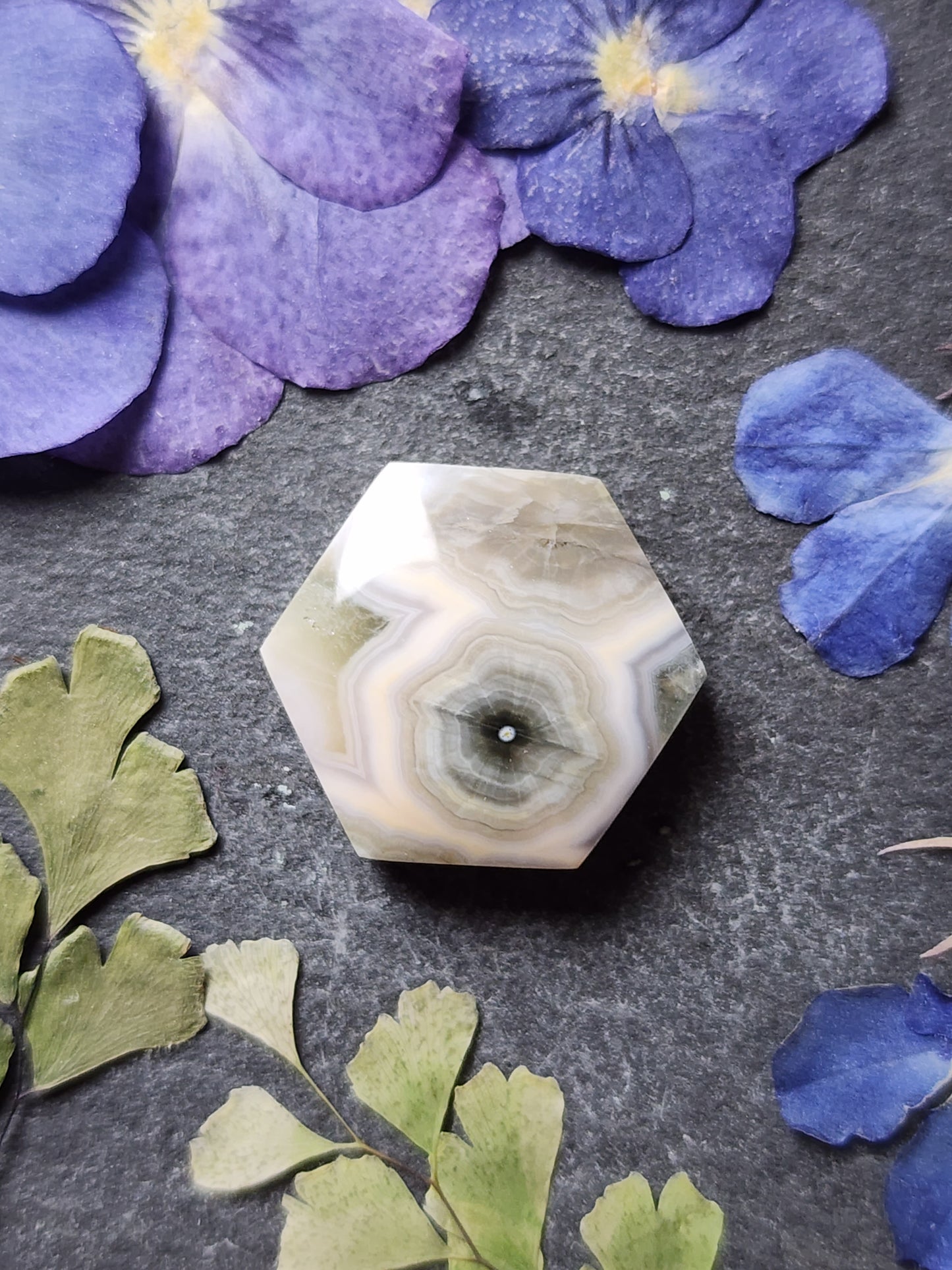 Ocean jasper