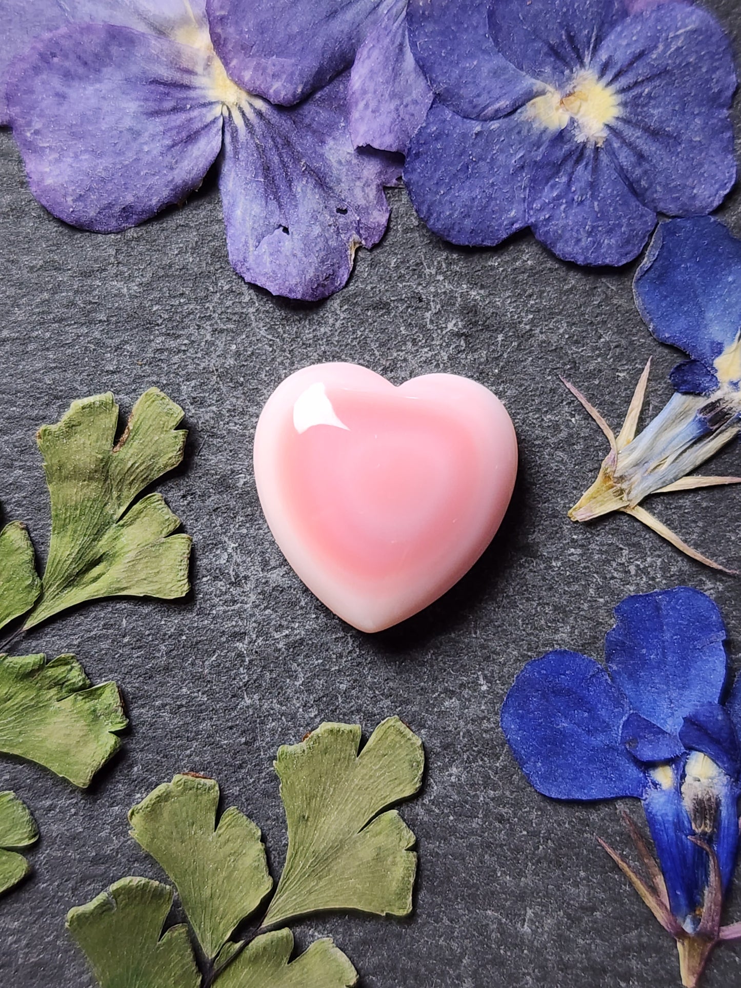 Pink conch shell heart