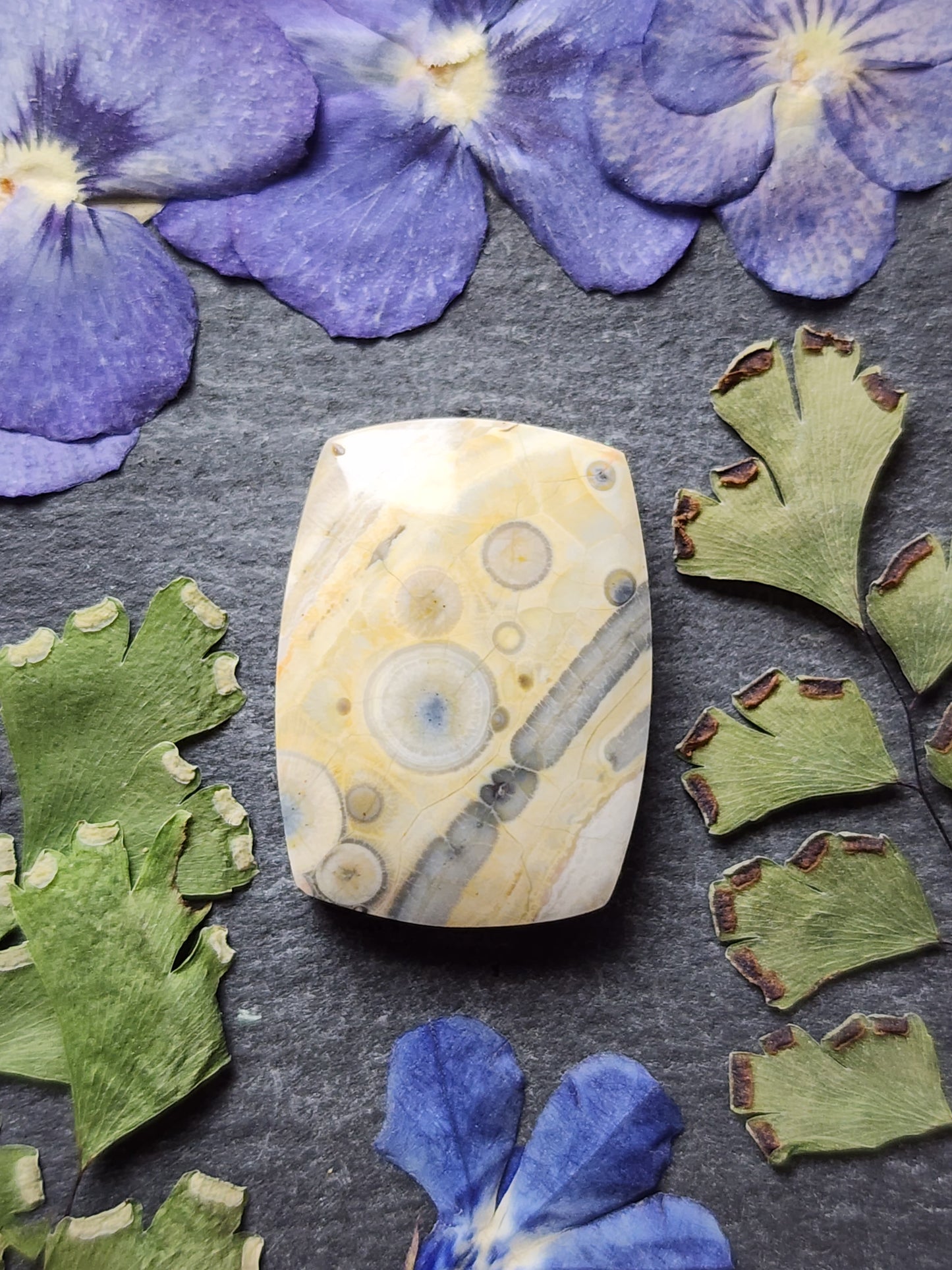 Galaxy Rhyolite