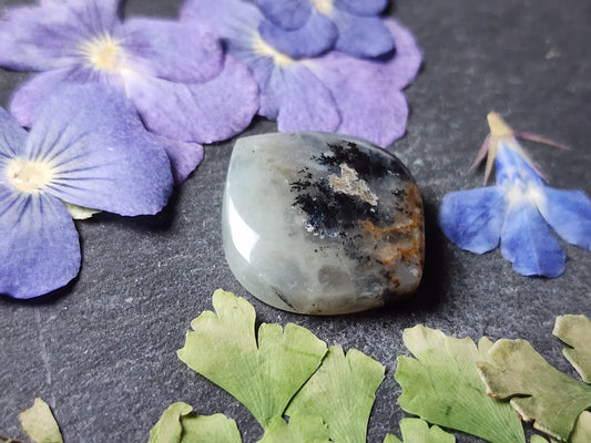 Australian Chrysoprase with dendrite