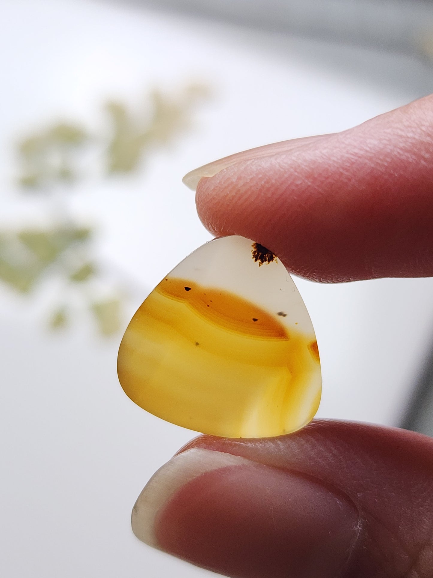 Montana agate