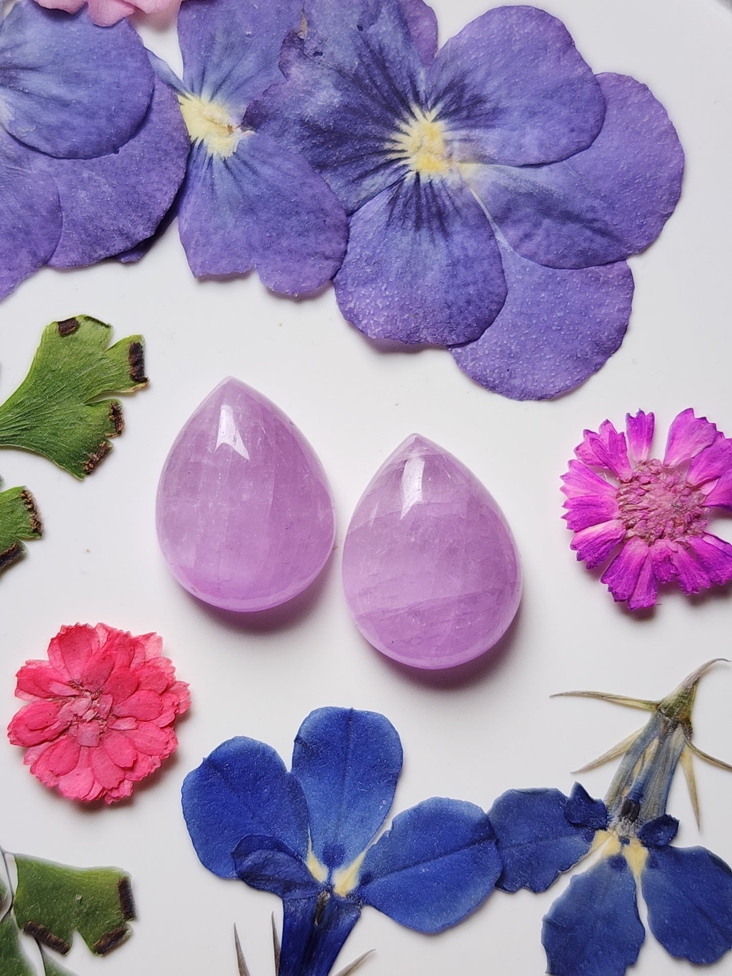 Lavender Kunzite pair