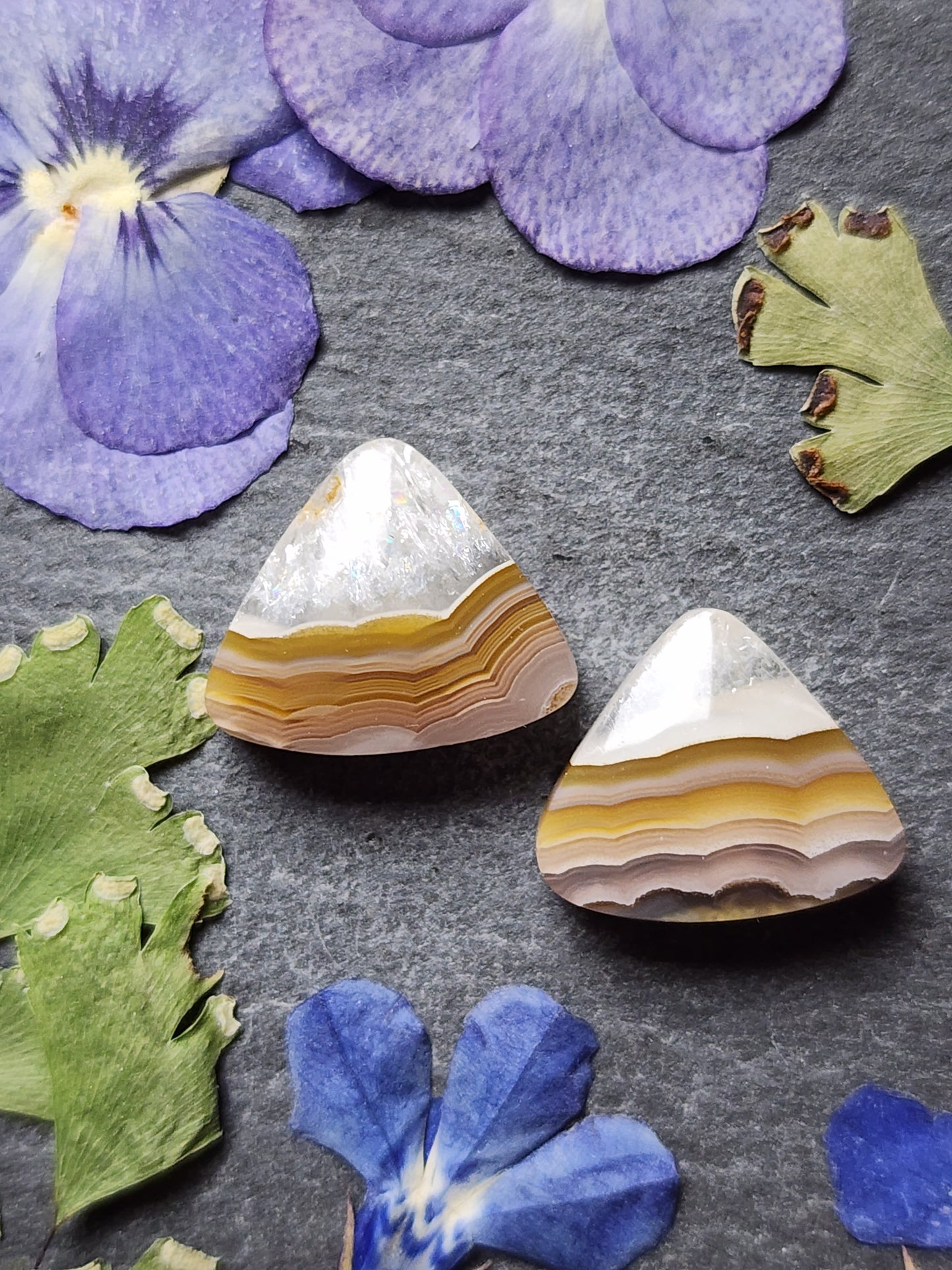Agua Nueva agate pair