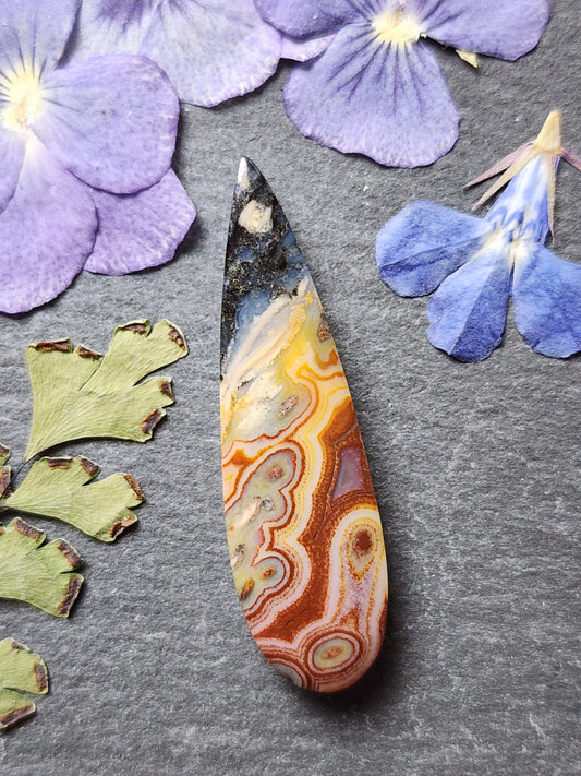 Petrified palm wood