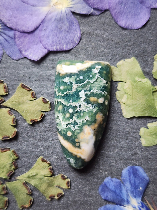 Ocean jasper