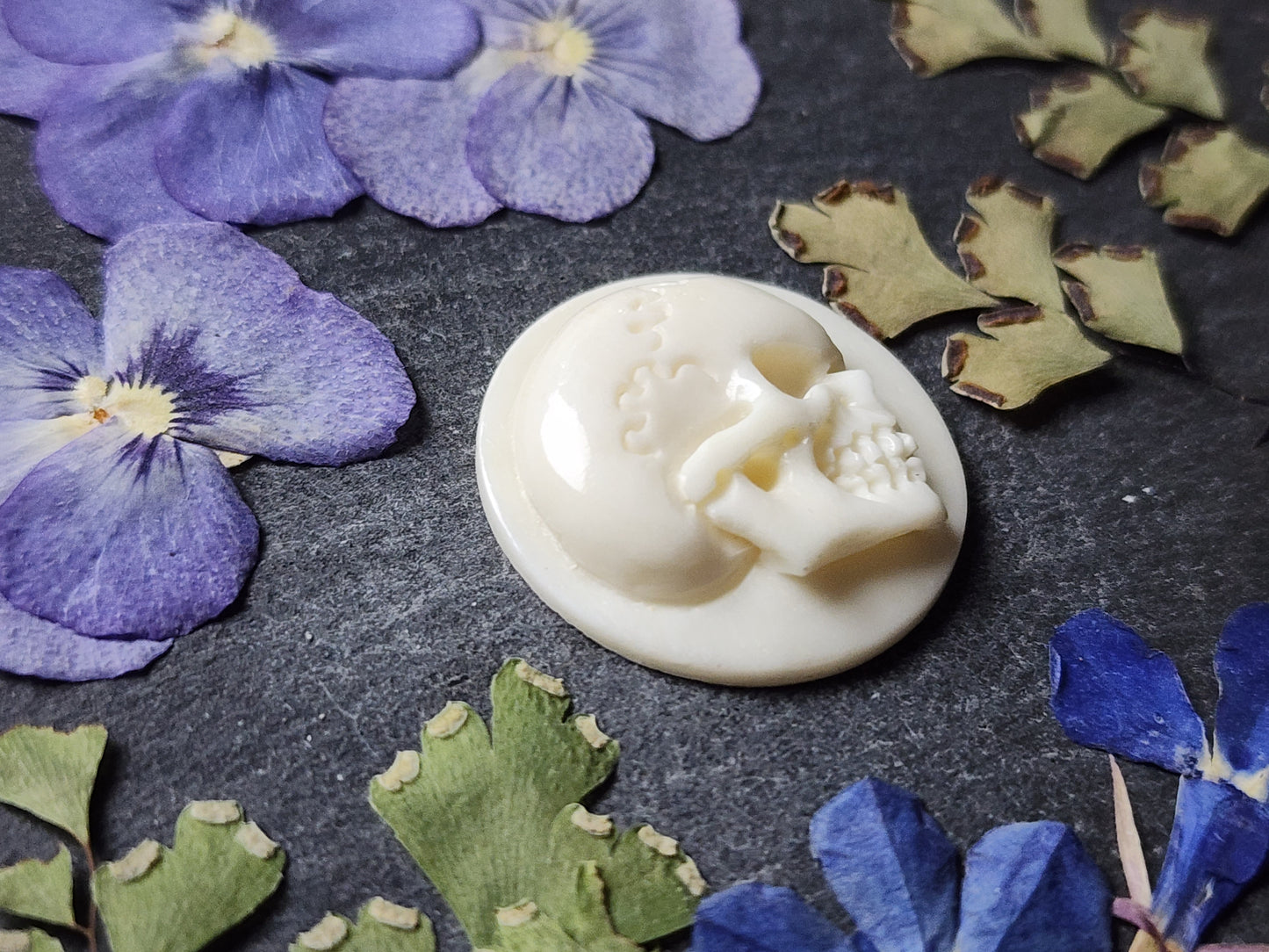 Side profile skull