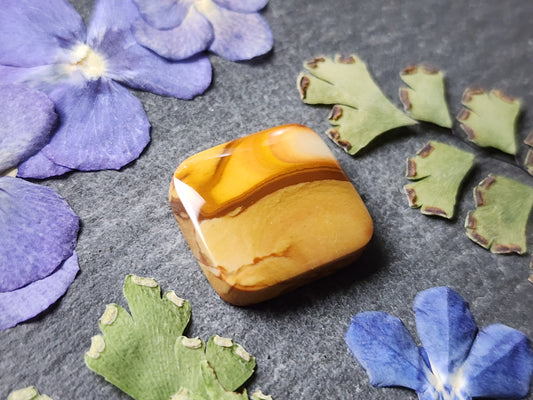 Owyhee jasper