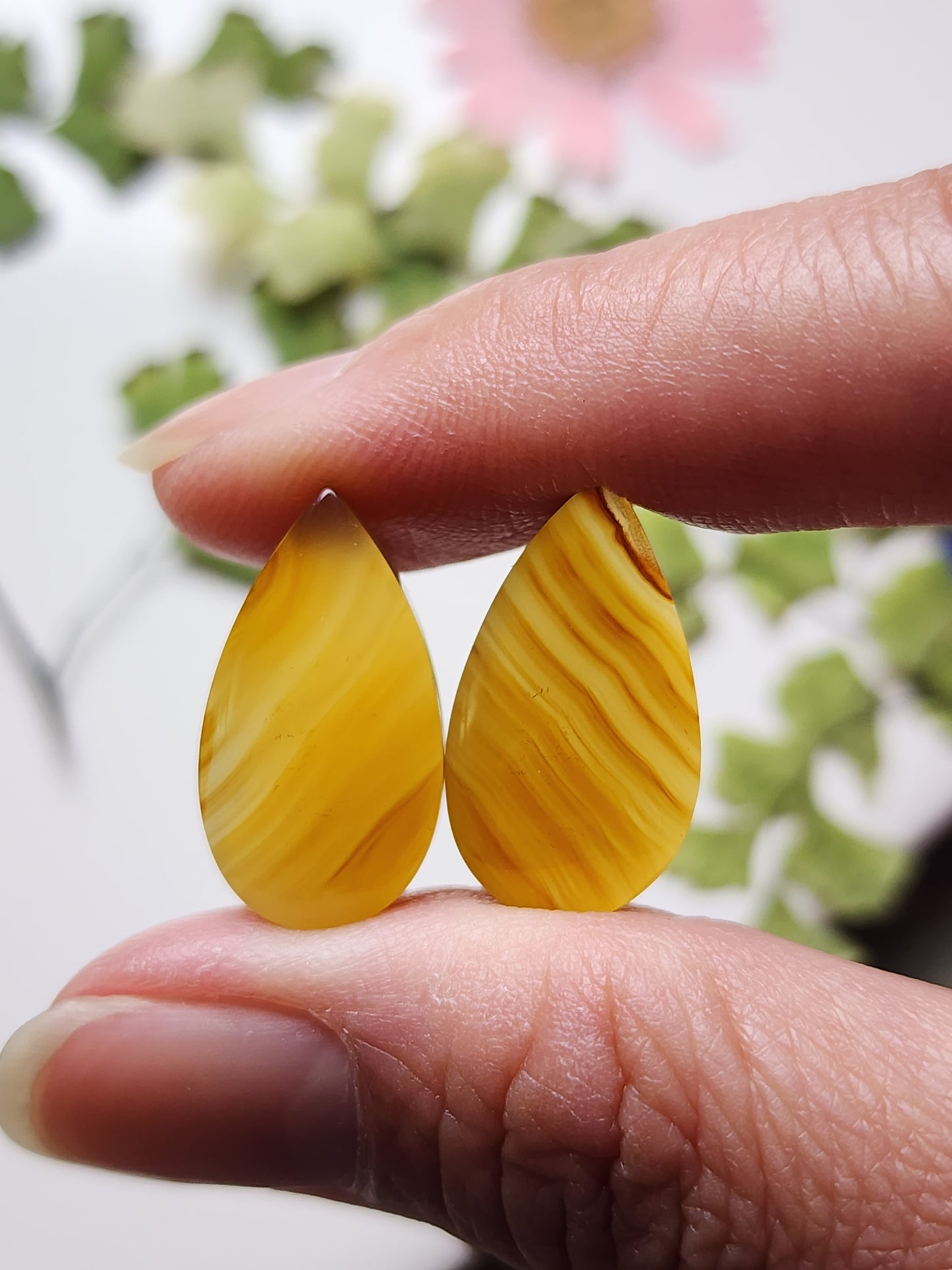 Montana agate pair