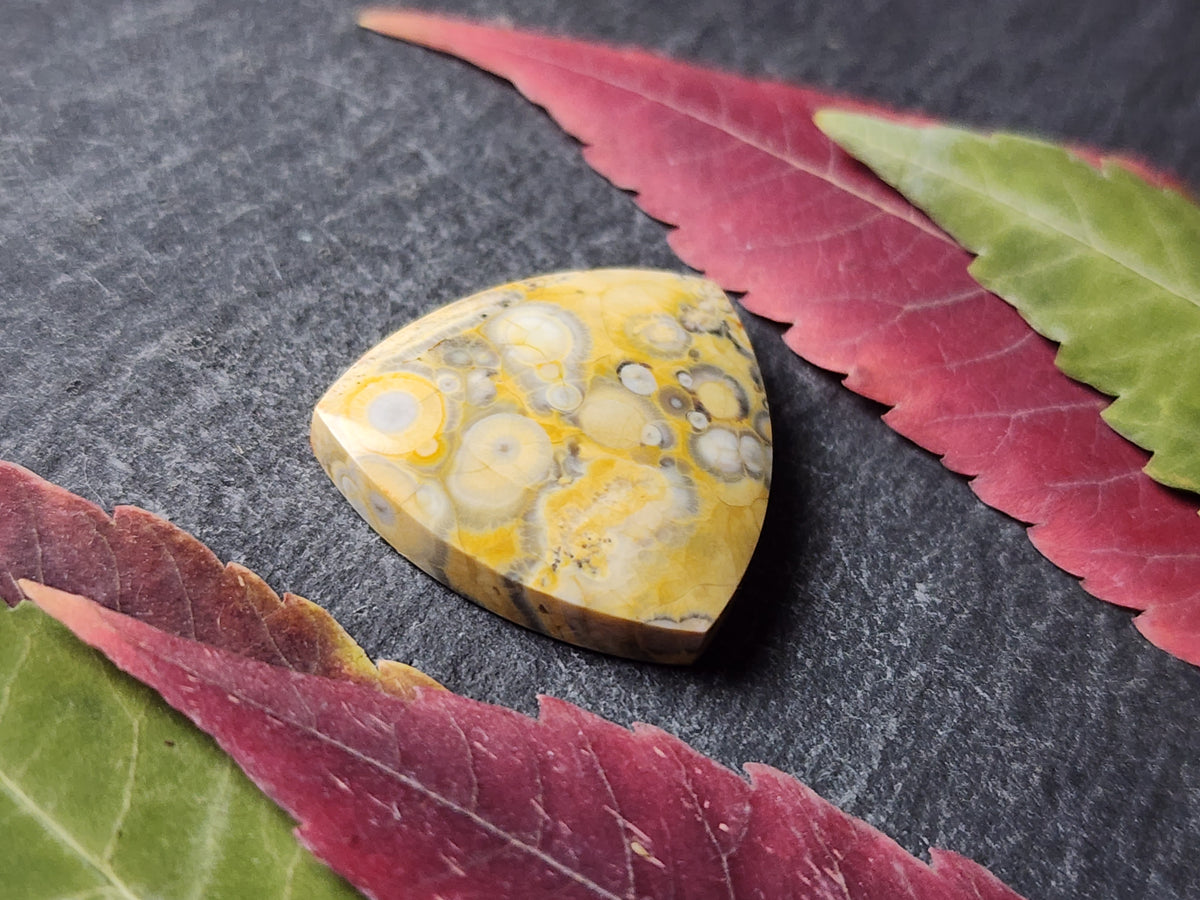 Galaxy Rhyolite