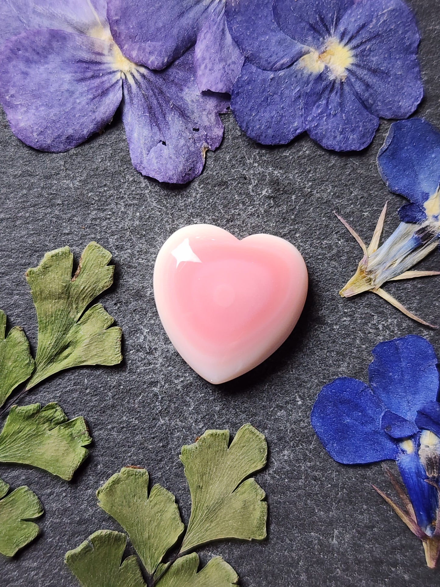 Pink conch shell heart