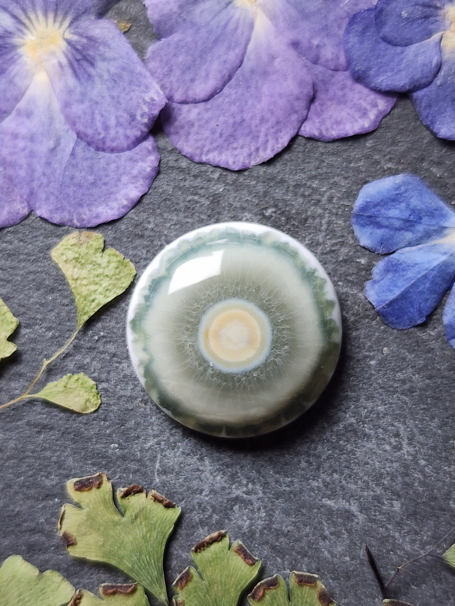 Ocean jasper