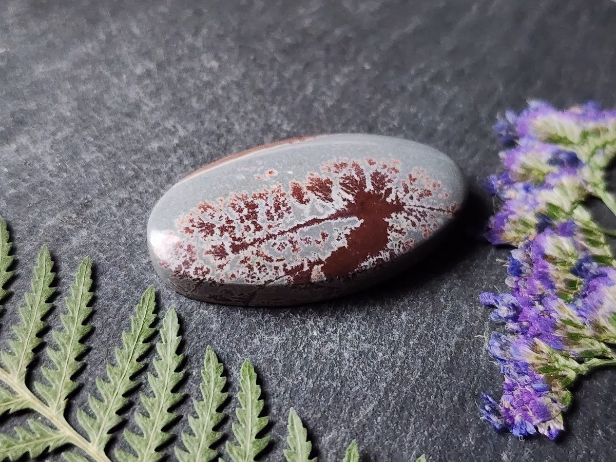 Sonoran Dendritic Rhyolite