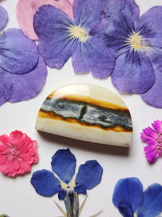 Starry night picture jasper