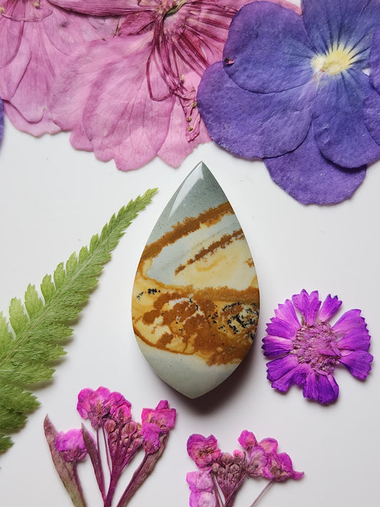 Owyhee jasper