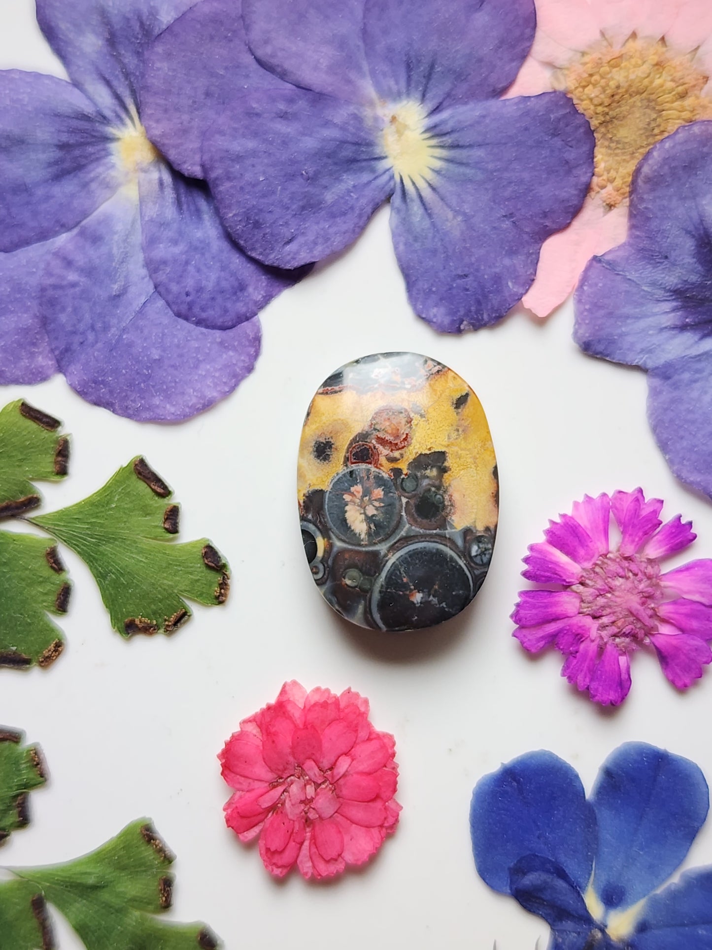 Galaxy Rhyolite