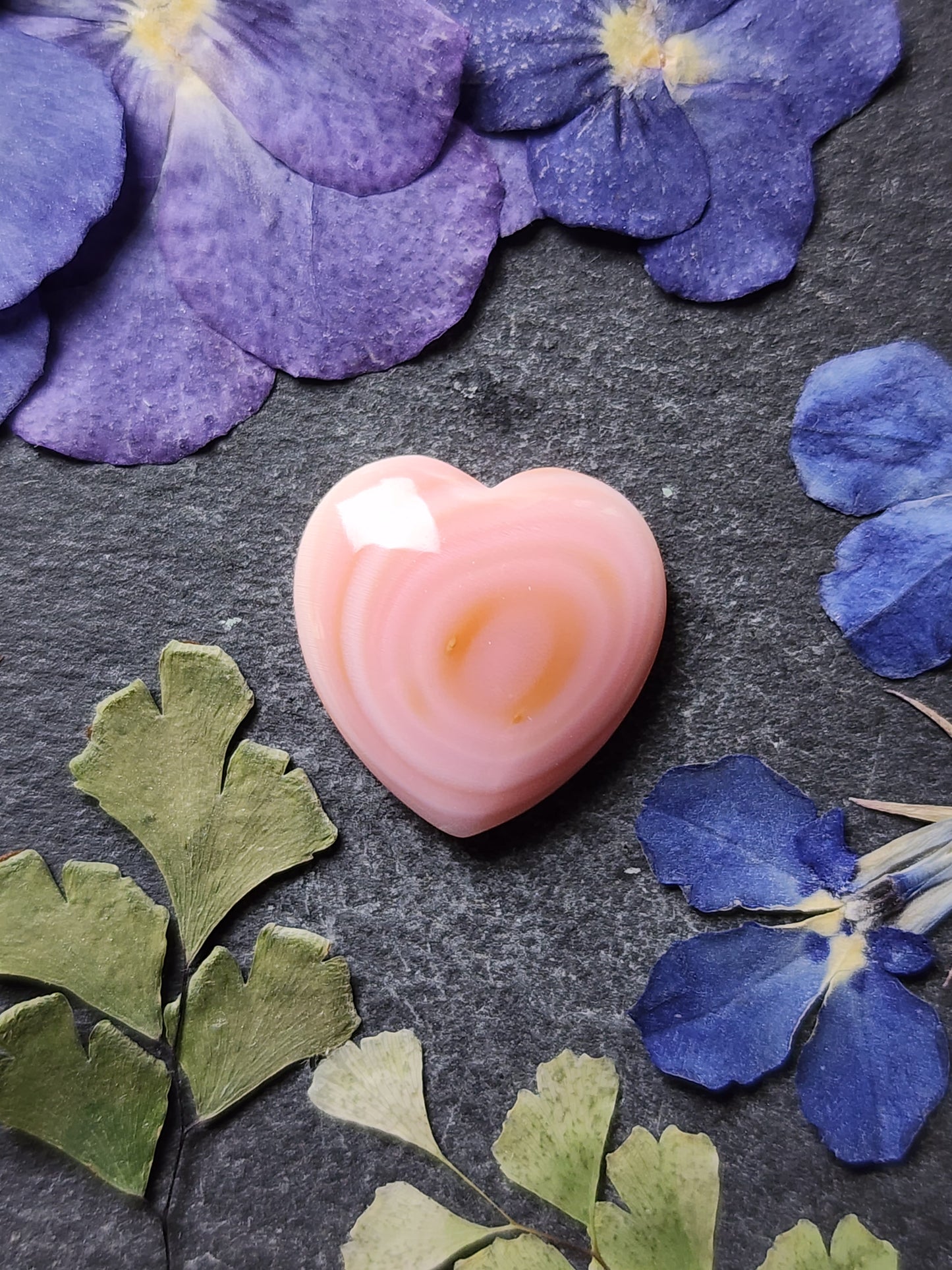 Pink Conch shell heart