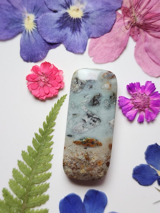 BC Ocean picture stone