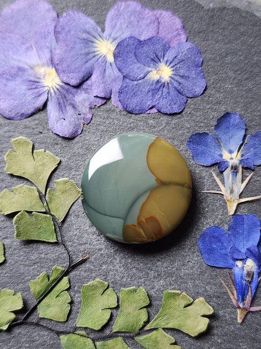 Blue Mountain jasper
