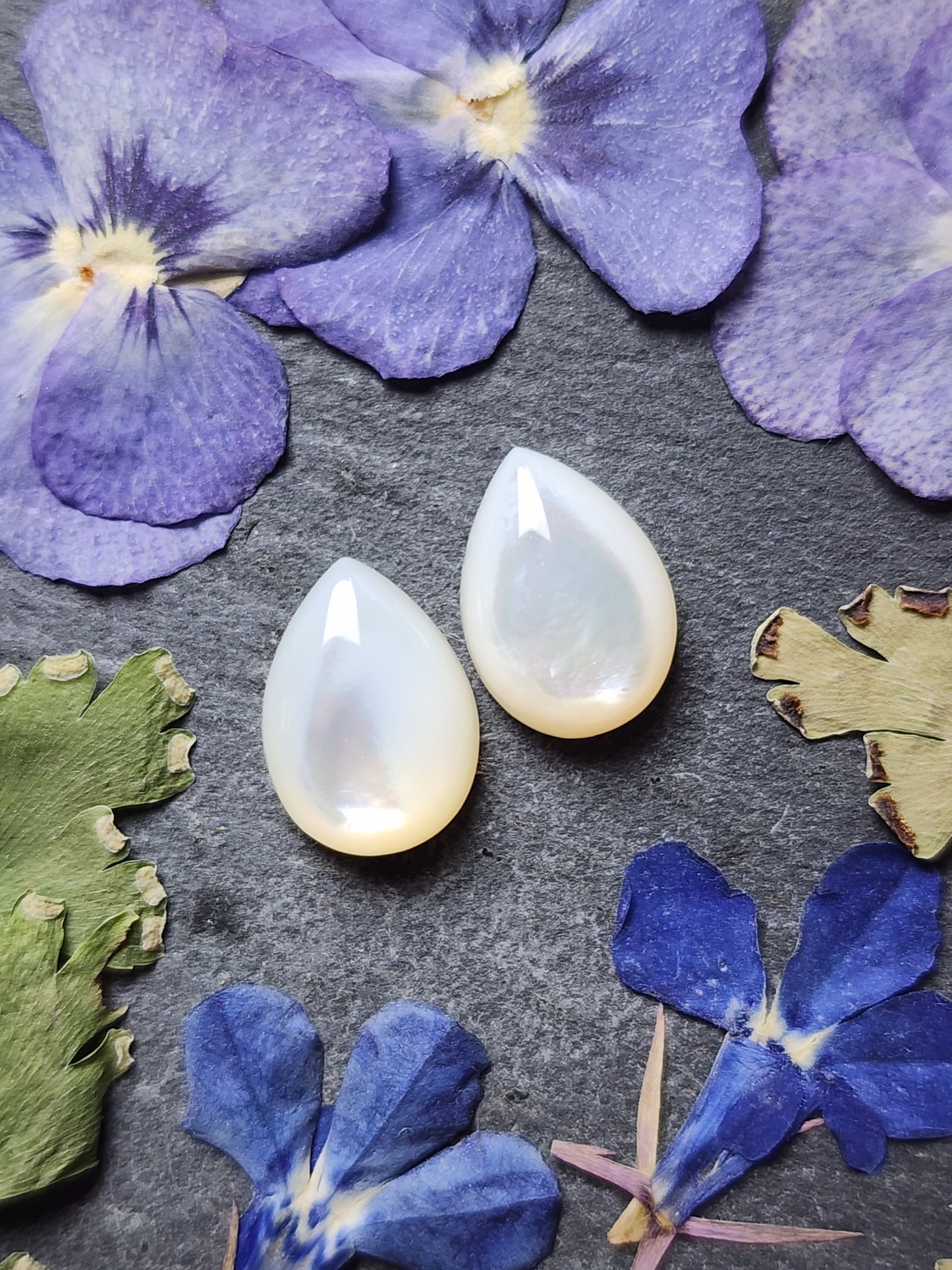 Mother of pearl shell pair (A2)