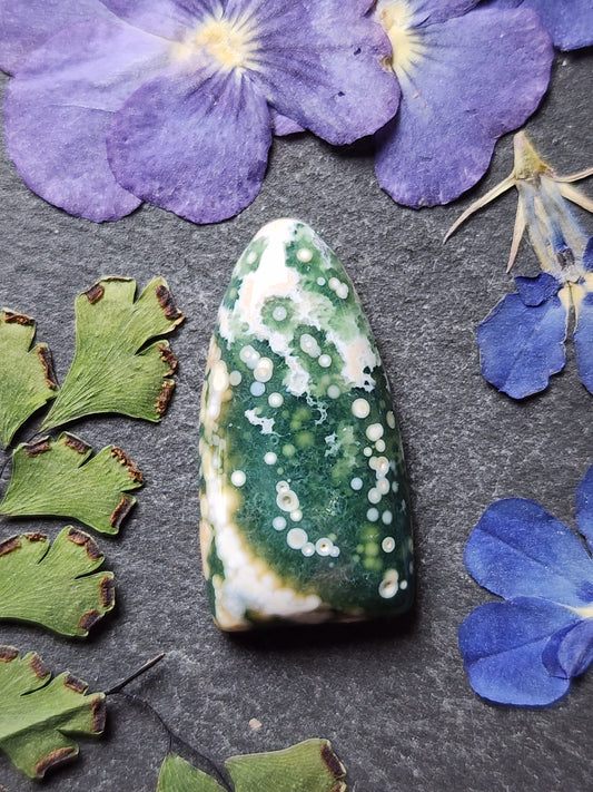 Ocean jasper