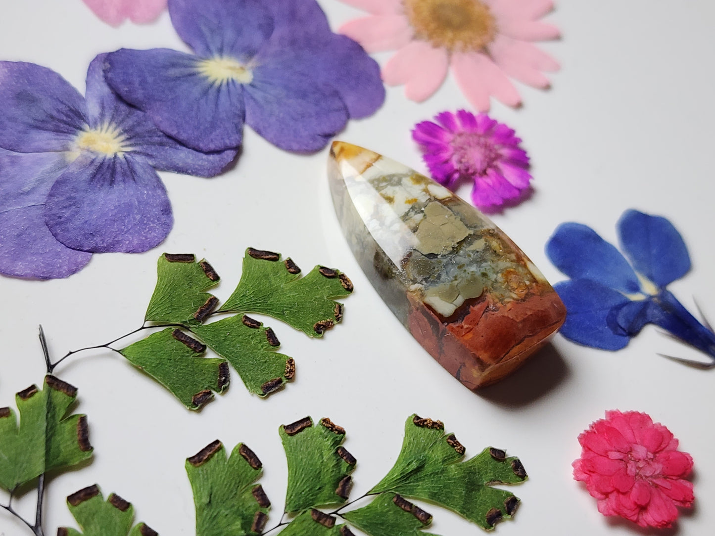 Brecciated Polychrome jasper