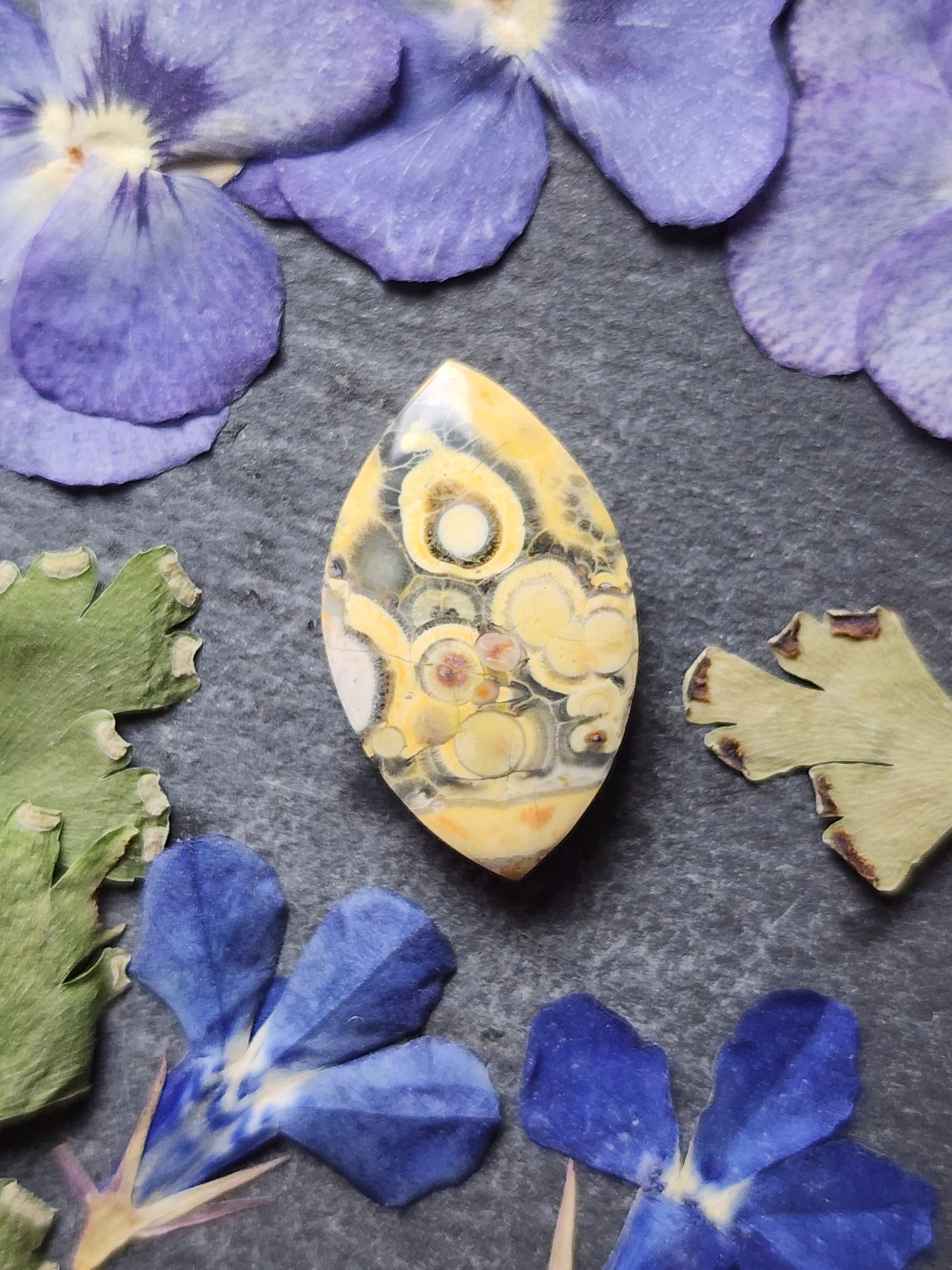 Galaxy Rhyolite