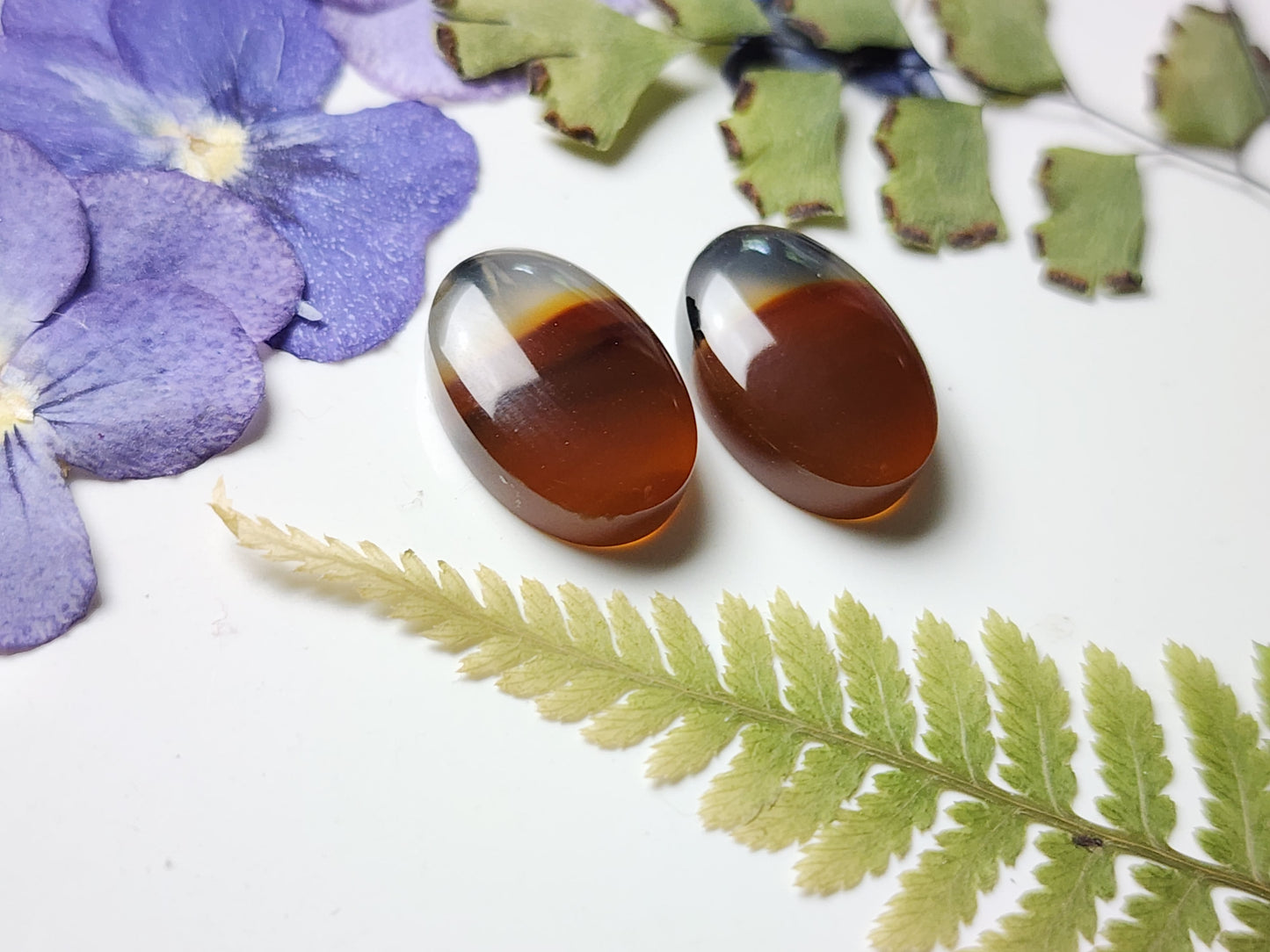 Montana agate pair