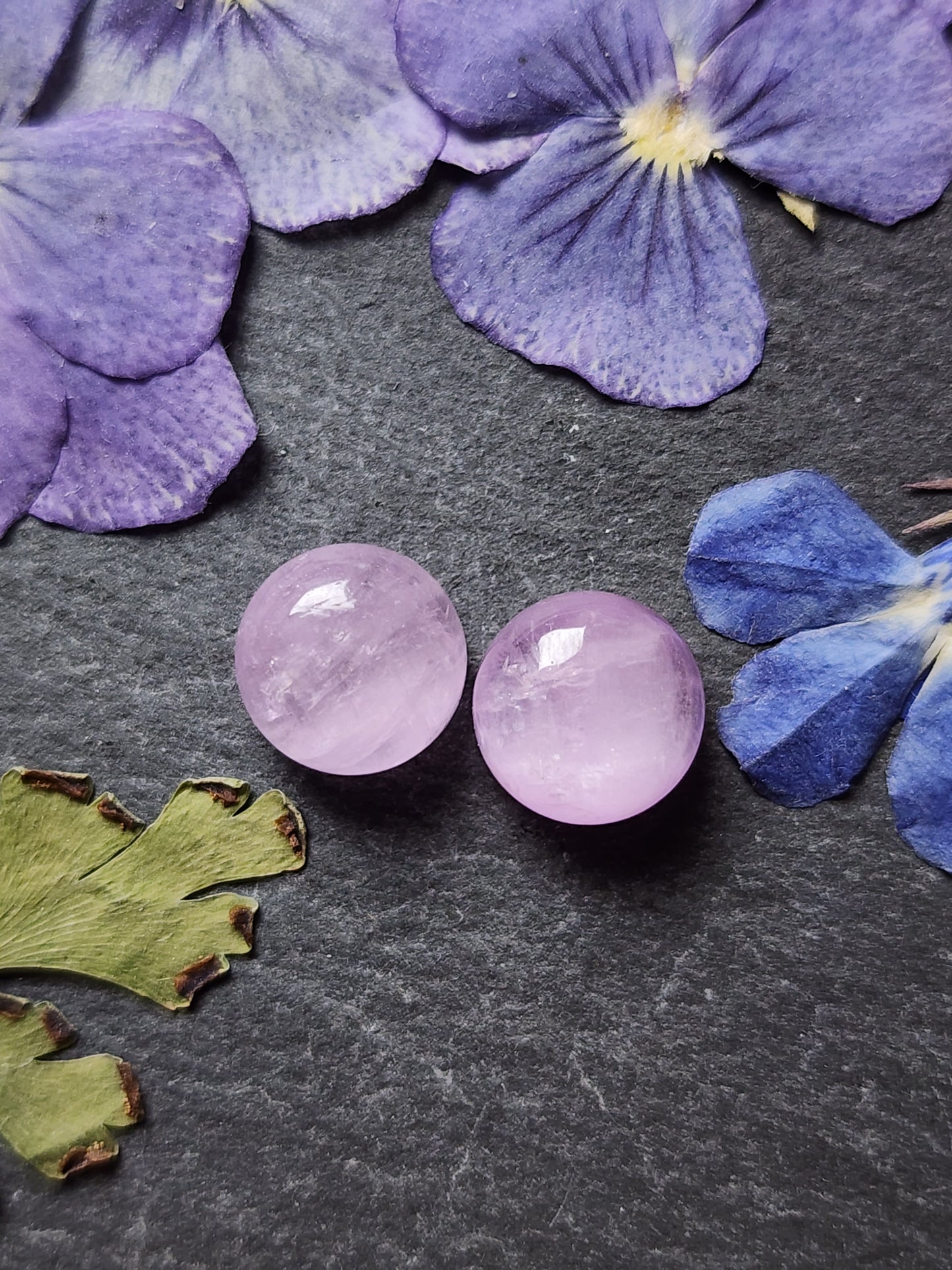 Lavender Kunzite pair