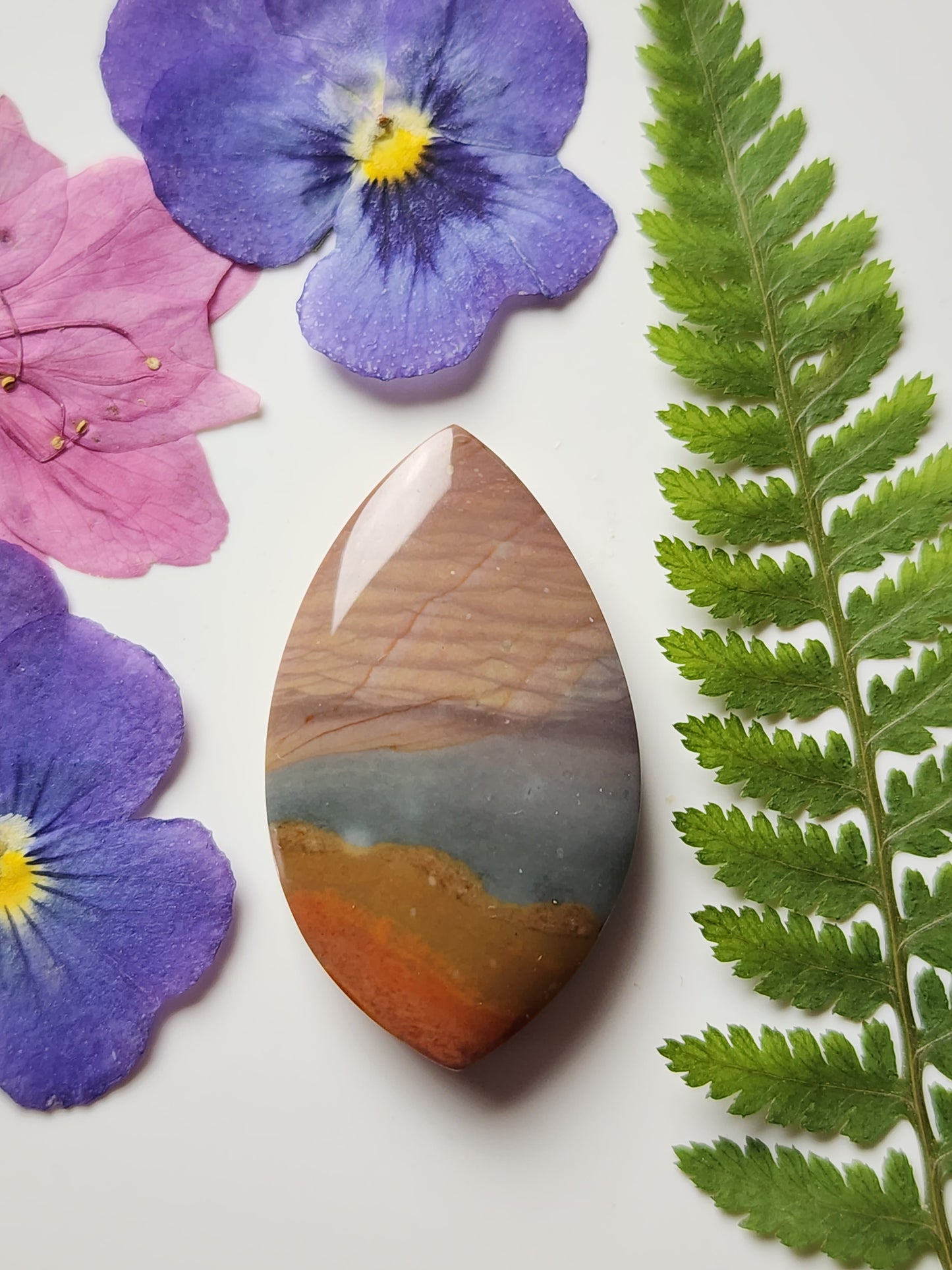 Orbs Polychrome jasper