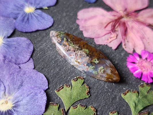 Garden Moss agate