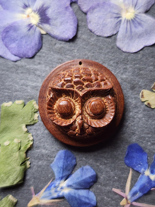 Owl