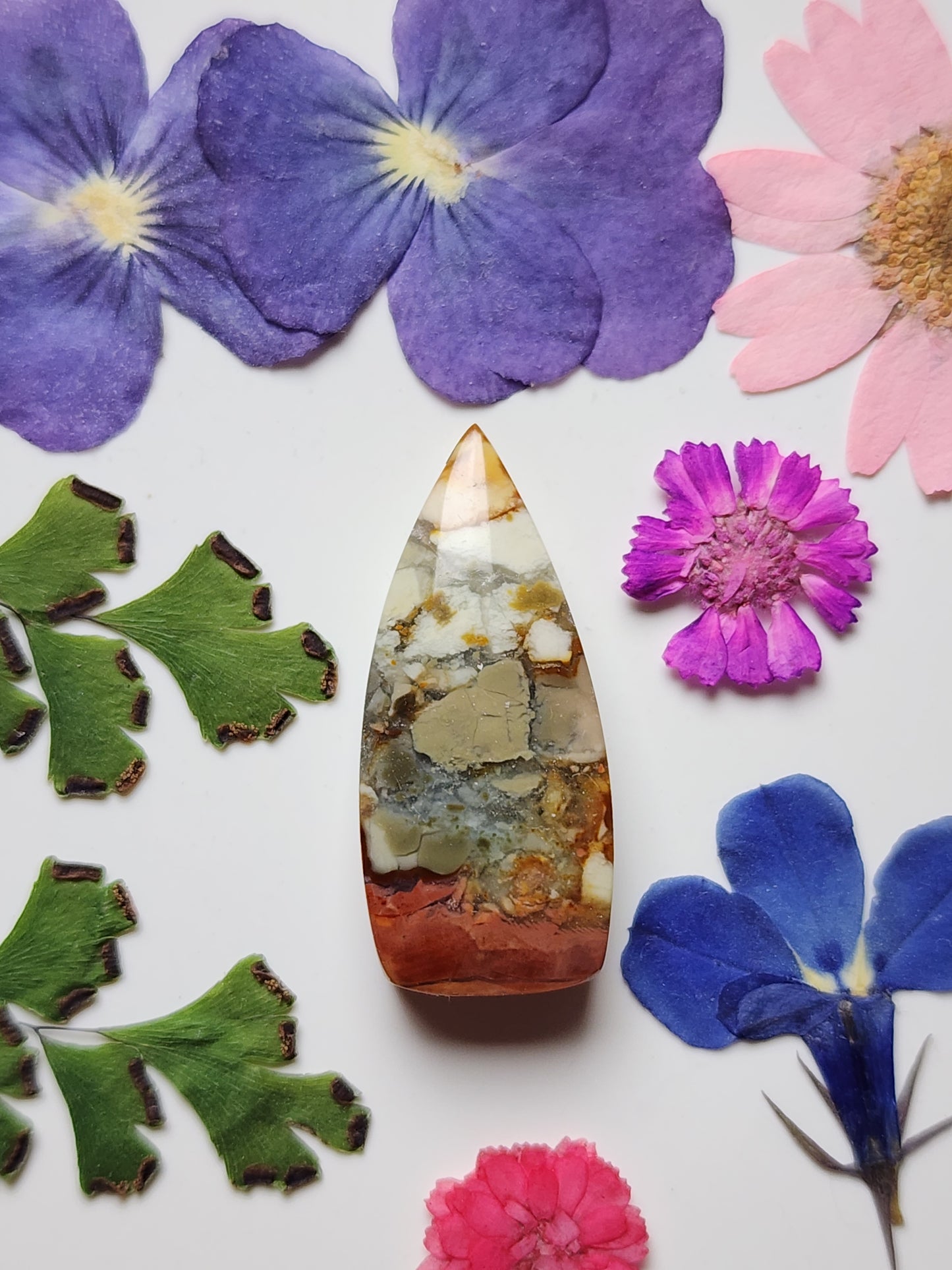 Brecciated Polychrome jasper