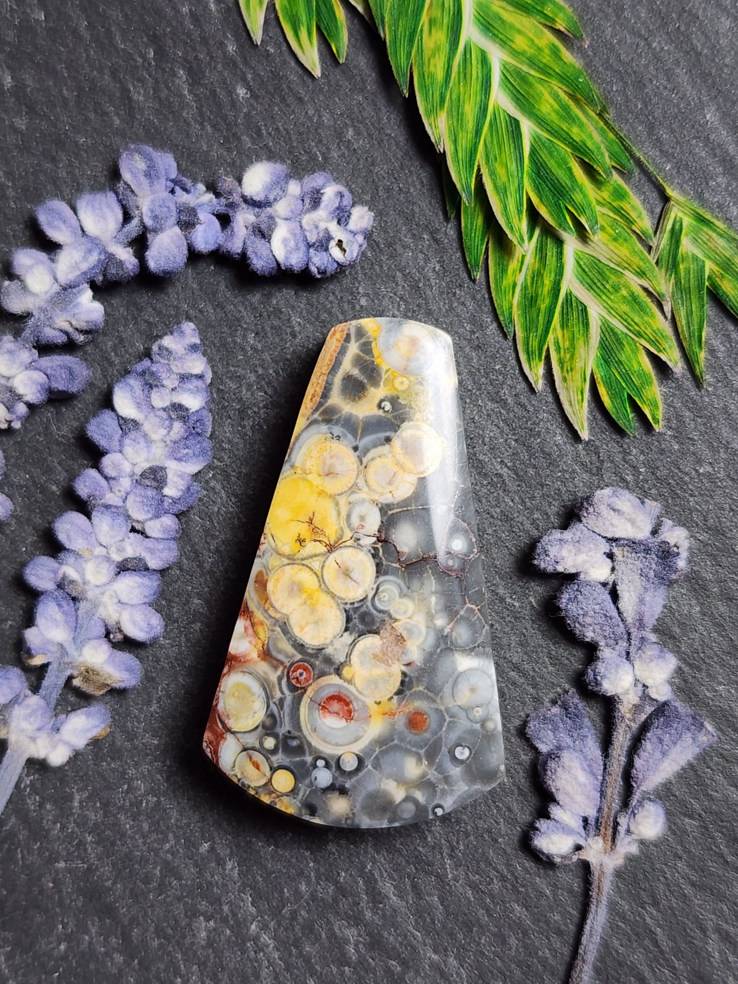 Galaxy Rhyolite