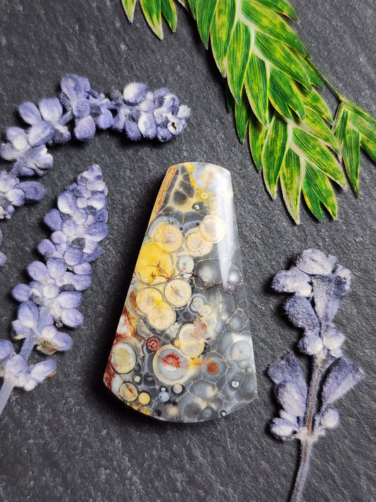 Galaxy Rhyolite
