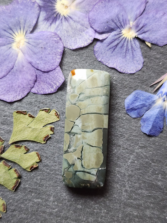 Brecciated Polychrome jasper