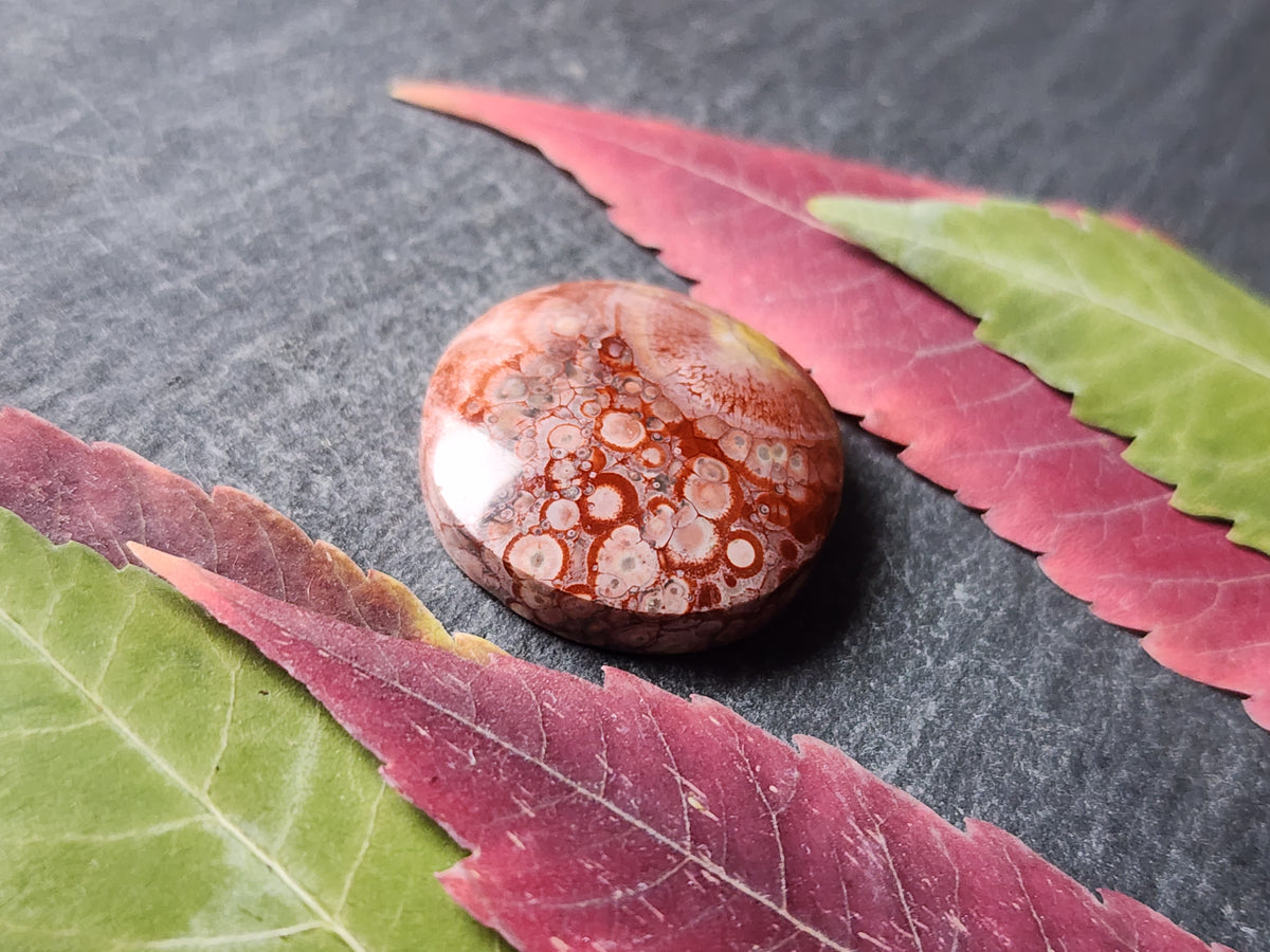 Galaxy Rhyolite
