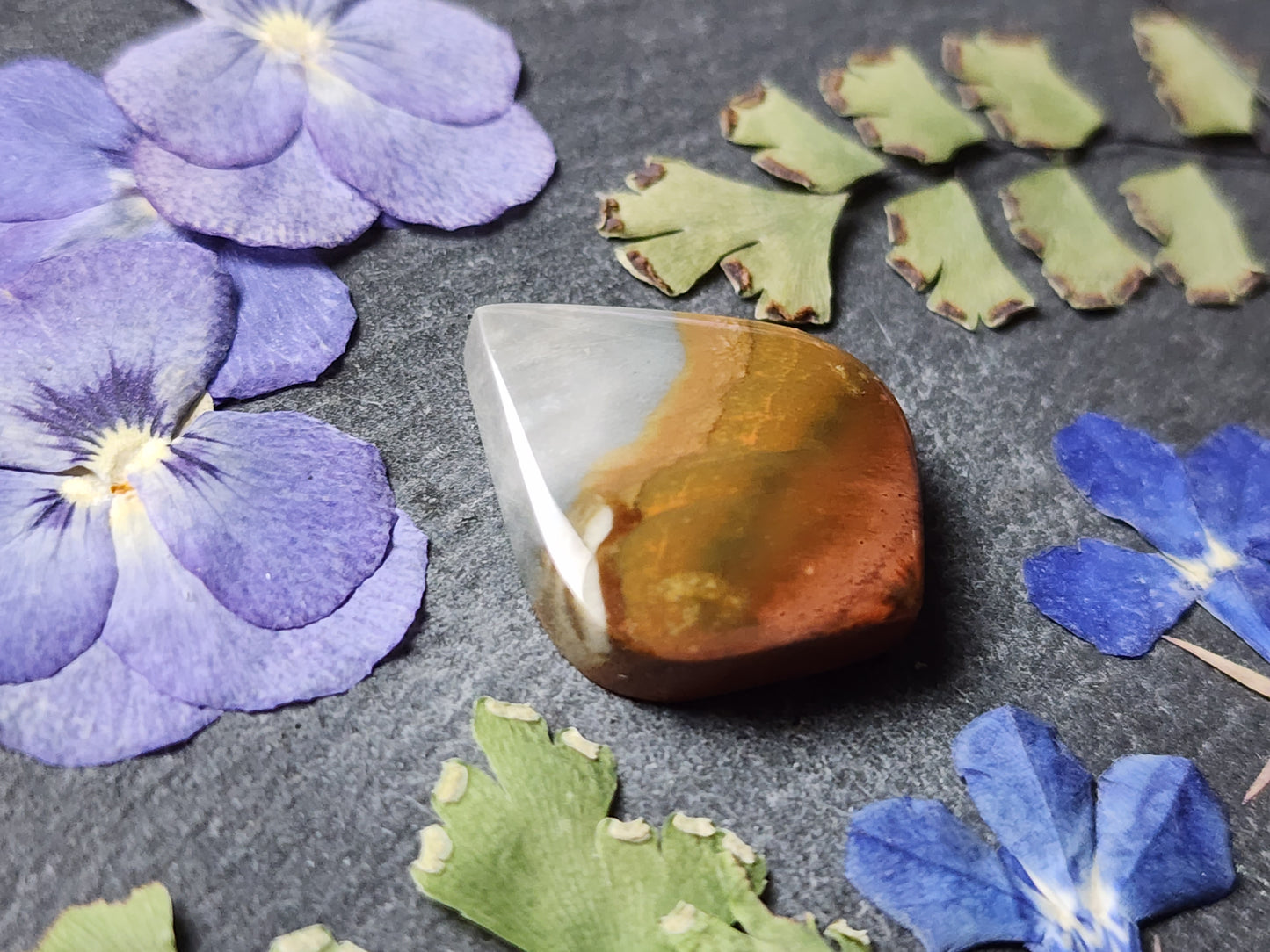 Polychrome jasper