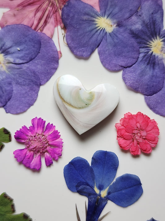 Shiva shell heart