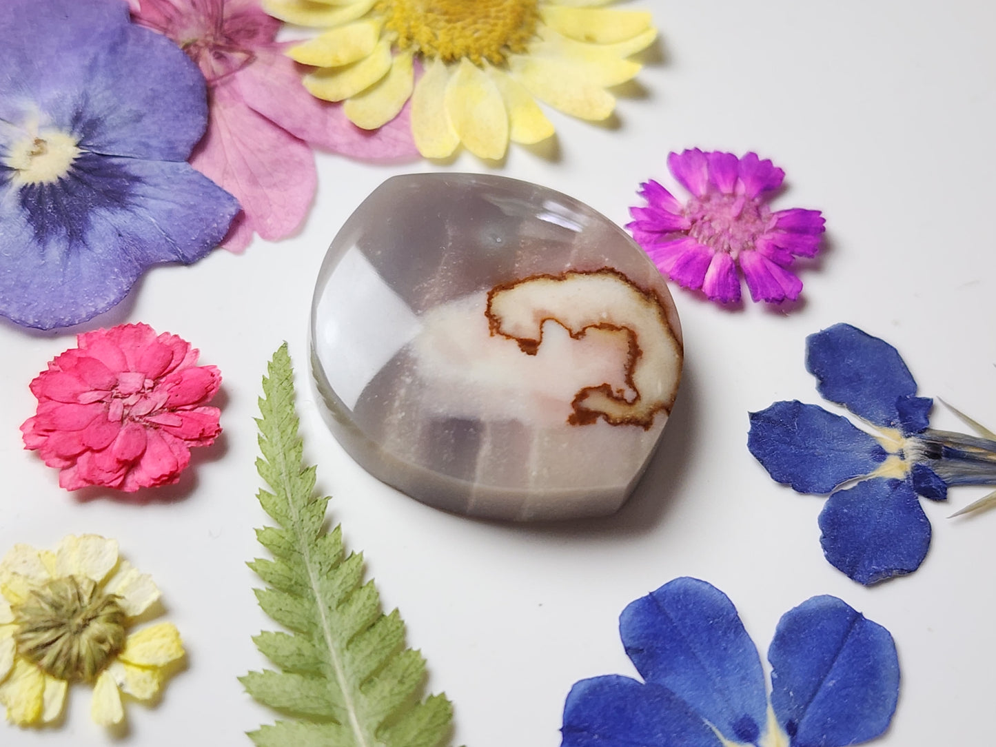 Polychrome jasper